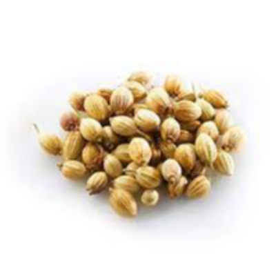 Coriander Seeds Exporters, Wholesaler & Manufacturer | eximnext.com