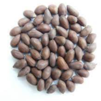 Cotton Seeds Exporters, Wholesaler & Manufacturer | eximnext.com