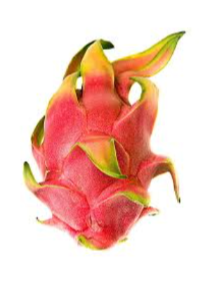 Dragon Fruit Exporters, Wholesaler & Manufacturer | eximnext.com