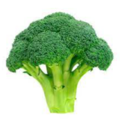 Fresh Broccoli Exporters, Wholesaler & Manufacturer | eximnext.com