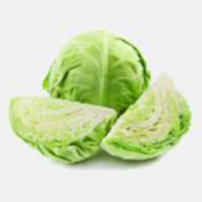 Fresh Cabbage Exporters, Wholesaler & Manufacturer | eximnext.com