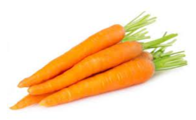Fresh Carrot Exporters, Wholesaler & Manufacturer | eximnext.com