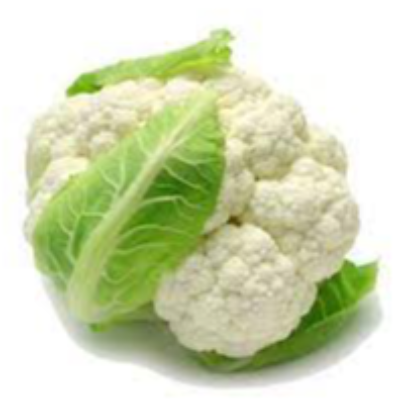 Fresh Cauliflower Exporters, Wholesaler & Manufacturer | eximnext.com