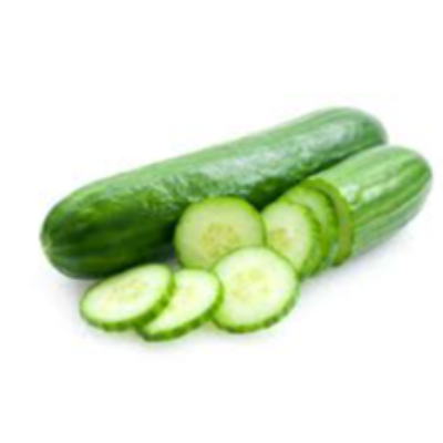 Fresh Cucumber Exporters, Wholesaler & Manufacturer | eximnext.com