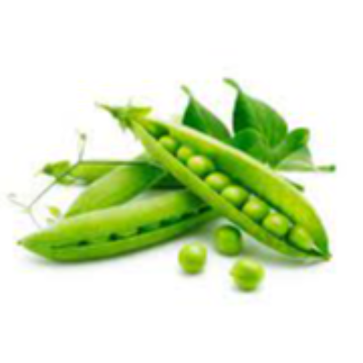 Fresh Green Peas Exporters, Wholesaler & Manufacturer | eximnext.com