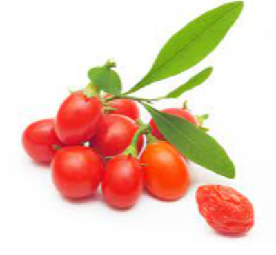 Goji Berry Exporters, Wholesaler & Manufacturer | eximnext.com
