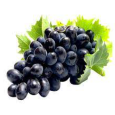 Grapes Exporters, Wholesaler & Manufacturer | eximnext.com