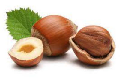 Hazelnuts Exporters, Wholesaler & Manufacturer | eximnext.com