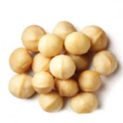 Macadamia Nuts Exporters, Wholesaler & Manufacturer | eximnext.com