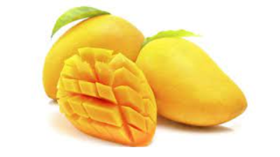 Mango Exporters, Wholesaler & Manufacturer | eximnext.com