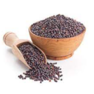 Mustard Seeds Exporters, Wholesaler & Manufacturer | eximnext.com