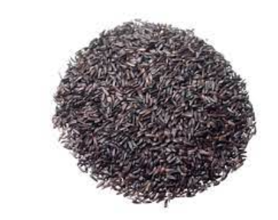 Niger Seeds Exporters, Wholesaler & Manufacturer | eximnext.com