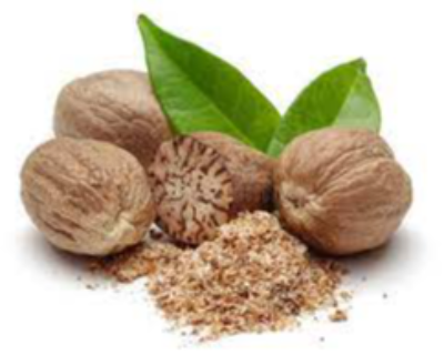 Nutmegs Exporters, Wholesaler & Manufacturer | eximnext.com