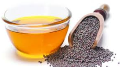 Oil Seeds Exporters, Wholesaler & Manufacturer | eximnext.com
