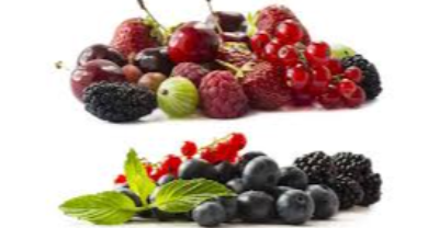 Other Type Of Berries Exporters, Wholesaler & Manufacturer | eximnext.com