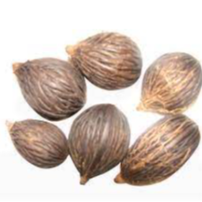 Palm Nuts Exporters, Wholesaler & Manufacturer | eximnext.com