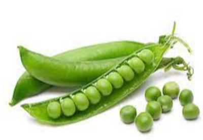 Peas Exporters, Wholesaler & Manufacturer | eximnext.com