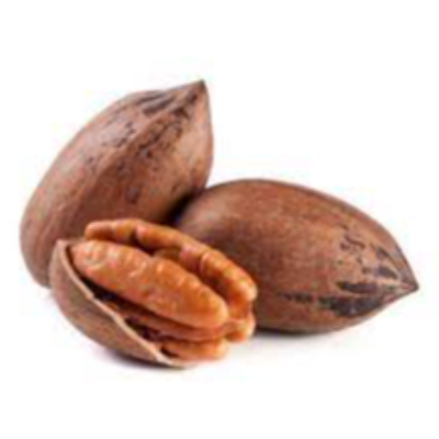Pecan Nuts Exporters, Wholesaler & Manufacturer | eximnext.com