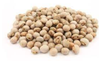 Pigeon Peas Exporters, Wholesaler & Manufacturer | eximnext.com