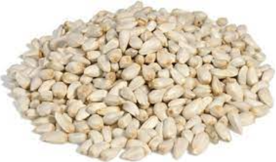 Safflower Seeds Exporters, Wholesaler & Manufacturer | eximnext.com