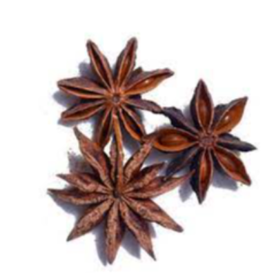 Star Anise Exporters, Wholesaler & Manufacturer | eximnext.com