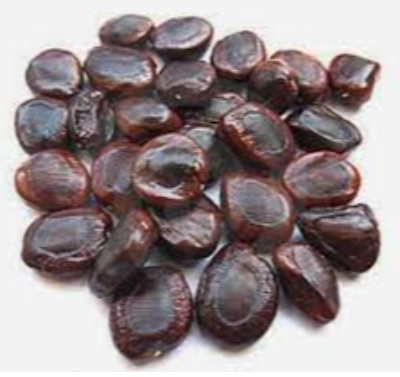 Tamarind Seed Exporters, Wholesaler & Manufacturer | eximnext.com