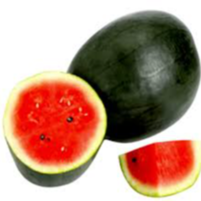 Watermelon Exporters, Wholesaler & Manufacturer | eximnext.com