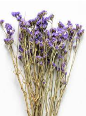 Dried Flowers Exporters, Wholesaler & Manufacturer | eximnext.com
