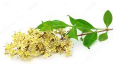 Heena Exporters, Wholesaler & Manufacturer | eximnext.com