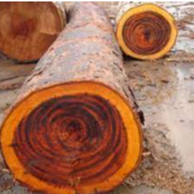 Rose Wood Exporters, Wholesaler & Manufacturer | eximnext.com