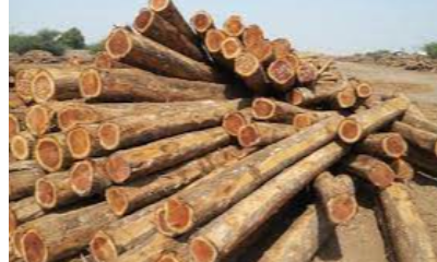 Teak Wood Logs Exporters, Wholesaler & Manufacturer | eximnext.com
