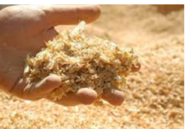 Wood Pulp Exporters, Wholesaler & Manufacturer | eximnext.com