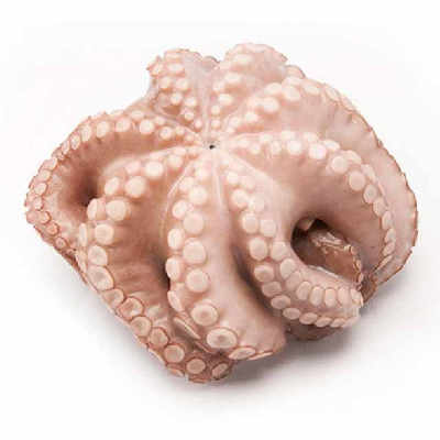 Frozen Octopus Exporters, Wholesaler & Manufacturer | Globaltradeplaza.com