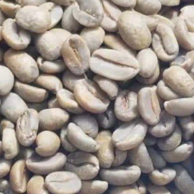 Green and Roasted Coffee Beans Burundi Exporters, Wholesaler & Manufacturer | Globaltradeplaza.com