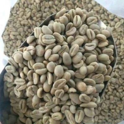Green and Roasted Coffee Beans Ethiopia Exporters, Wholesaler & Manufacturer | Globaltradeplaza.com