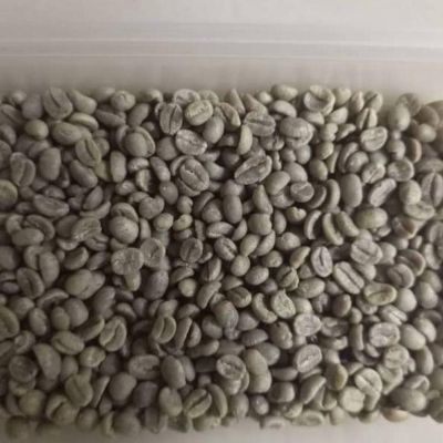 Green and Roasted Coffee Beans Rwanda Exporters, Wholesaler & Manufacturer | Globaltradeplaza.com