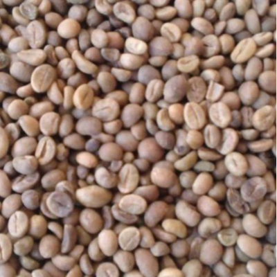 Green and Roasted Coffee Beans Sierra Leone Exporters, Wholesaler & Manufacturer | Globaltradeplaza.com