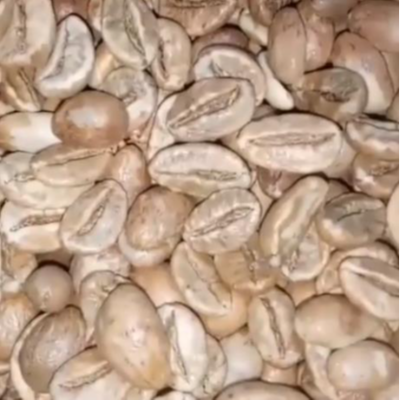 Green and Roasted Coffee Beans Tanzania Exporters, Wholesaler & Manufacturer | Globaltradeplaza.com