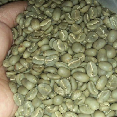 Green and Roasted Coffee Beans Sumatra Exporters, Wholesaler & Manufacturer | Globaltradeplaza.com