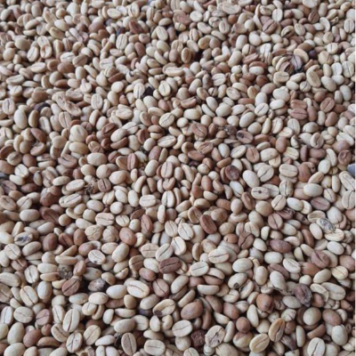 Green and Roasted Coffee Beans Peru Exporters, Wholesaler & Manufacturer | Globaltradeplaza.com