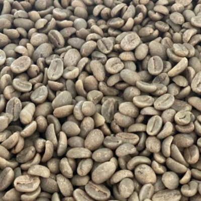 Green and Roasted Coffee Beans Nicaragua Exporters, Wholesaler & Manufacturer | Globaltradeplaza.com