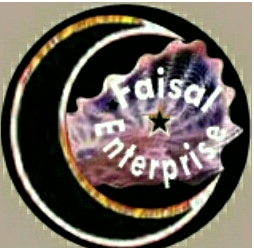 Faisal Enterprise