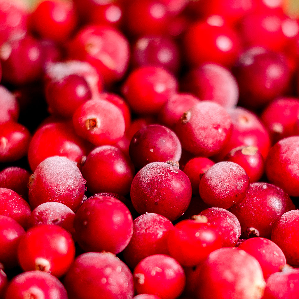 Frozen cranberries Exporters, Wholesaler & Manufacturer | Globaltradeplaza.com