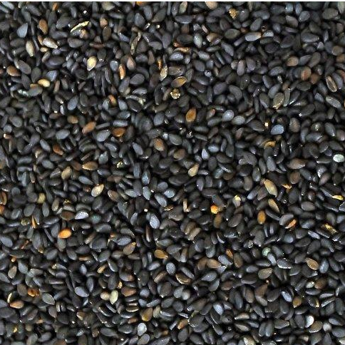 resources of SESAME SEEDS exporters