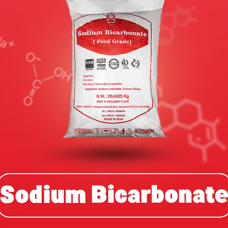 Sodium Bicarbonate (Baking Soda) Exporters, Wholesaler & Manufacturer | Globaltradeplaza.com