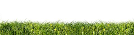 company-banner