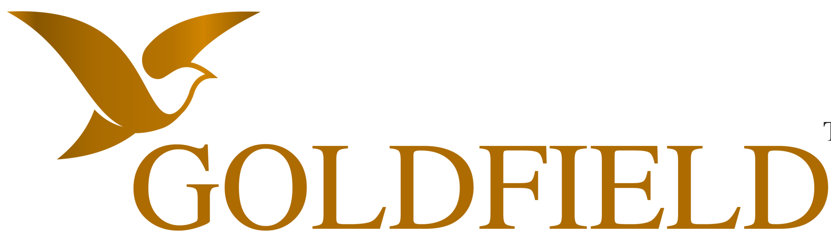 company-banner