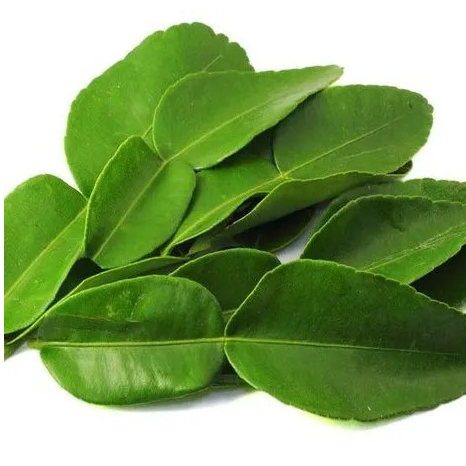 resources of lemon leaves exporters