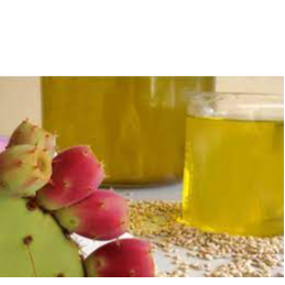 resources of cactus fruit oil exporters
