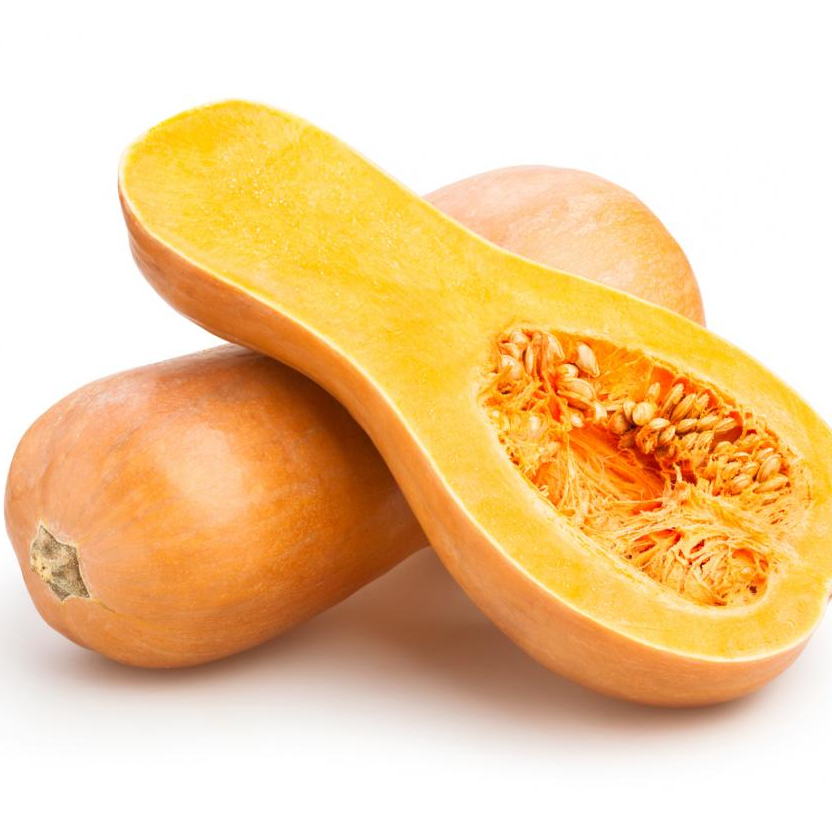 resources of Butternut exporters